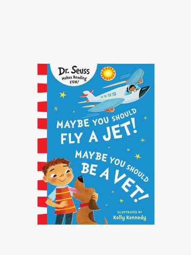HARPER COLLINS MAYBE YOU SHOULD FLY A JET MAYBE YOU SHOULD BE A VET Boys GIfts 5 Year Old