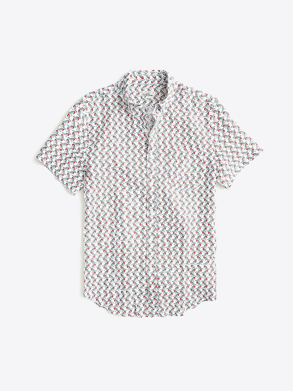 Men's Fashion Clothing, Fashion & Accessories David Jones