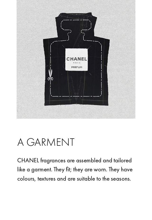 Best Name Brand Purses 2021 For Women Over 50