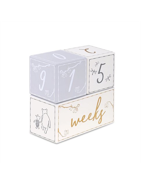 winnie the pooh milestone blocks