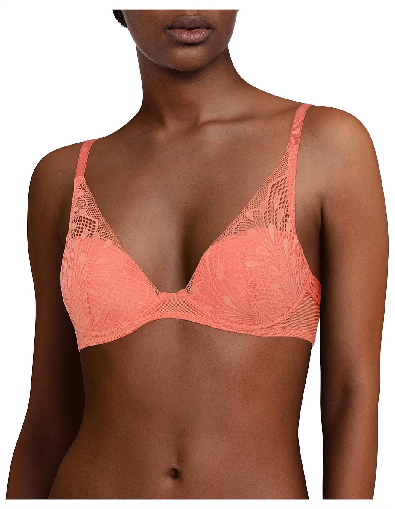 David jones lingerie sale Clearance