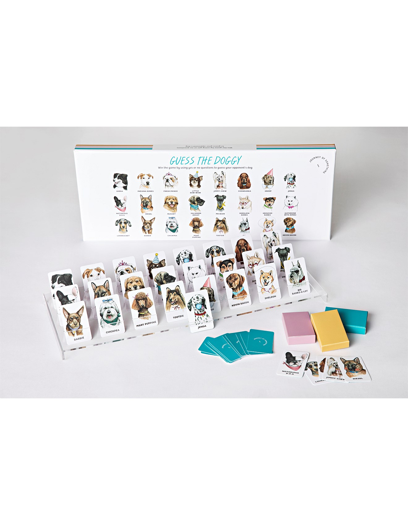 Journey Of Something Guess the Puppy David Jones