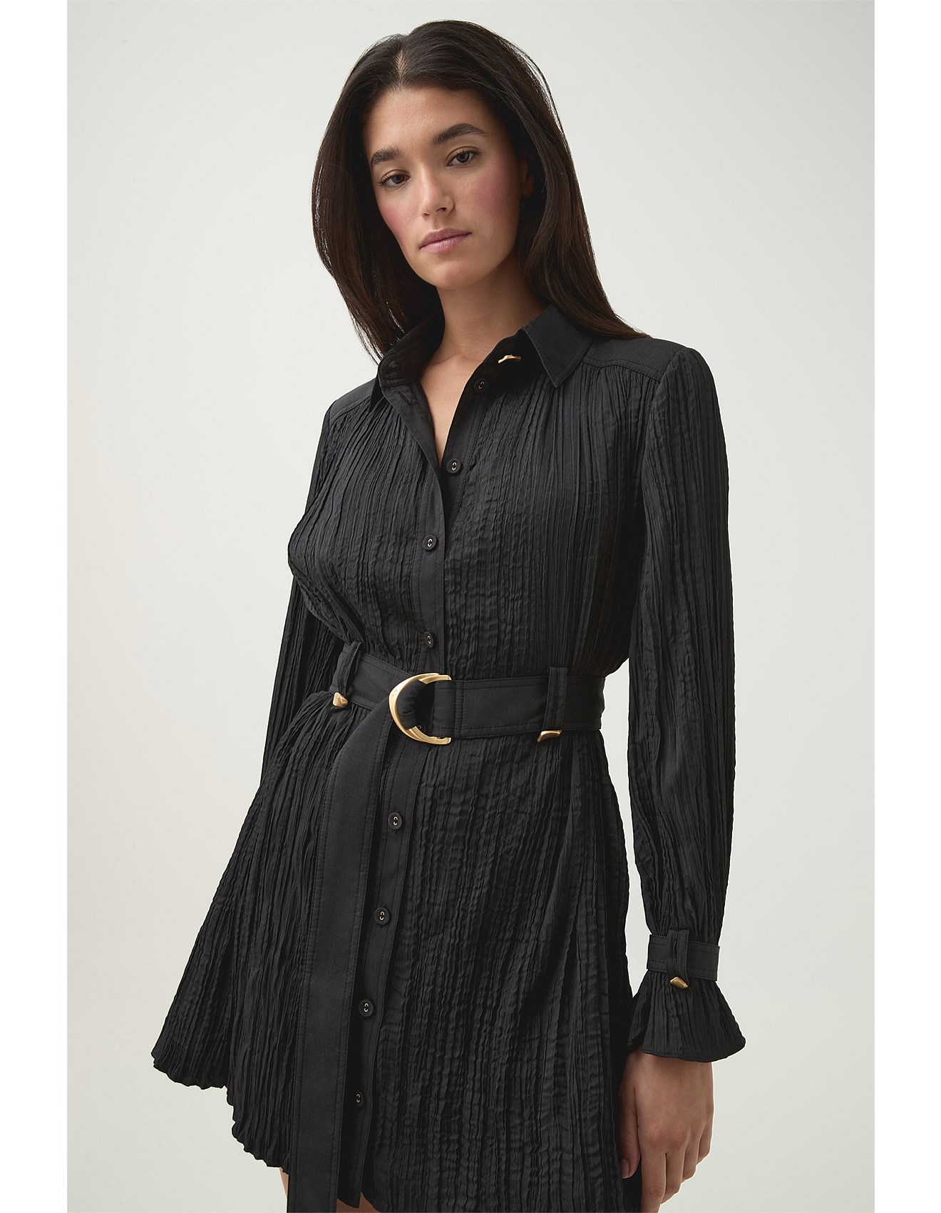 Aje Bays Crushed Pleat Mini Dress | David Jones