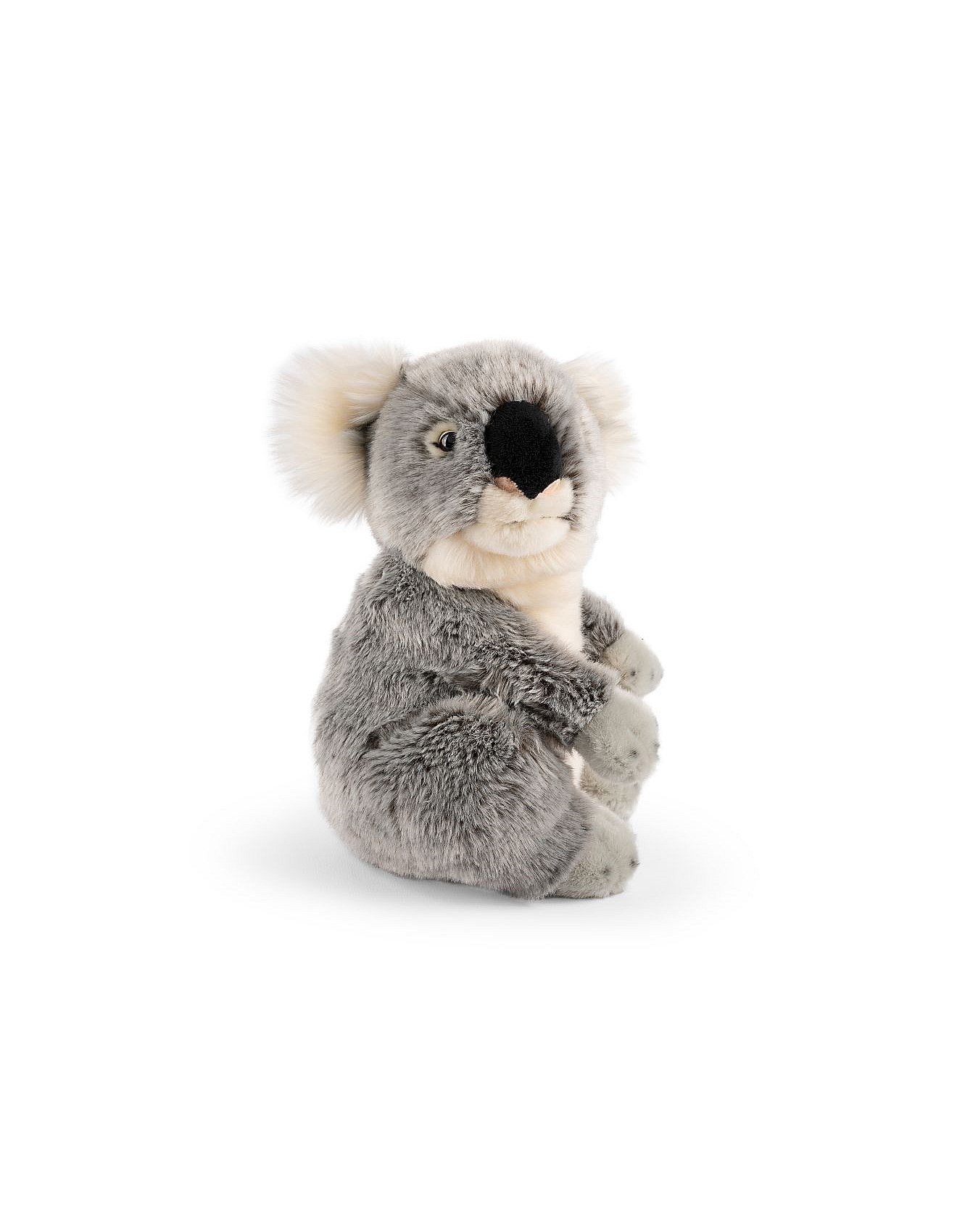 Living Nature Fluffy Plush Koala Toy David Jones