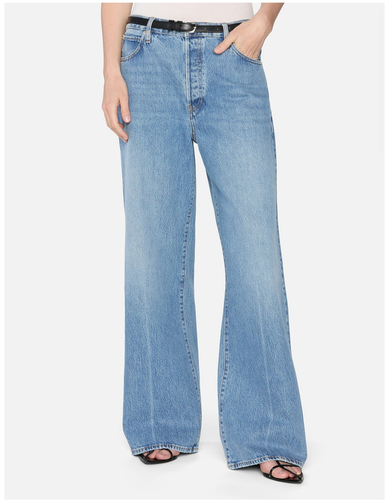 Frame Denim the Loose Wide Leg Jean David Jones