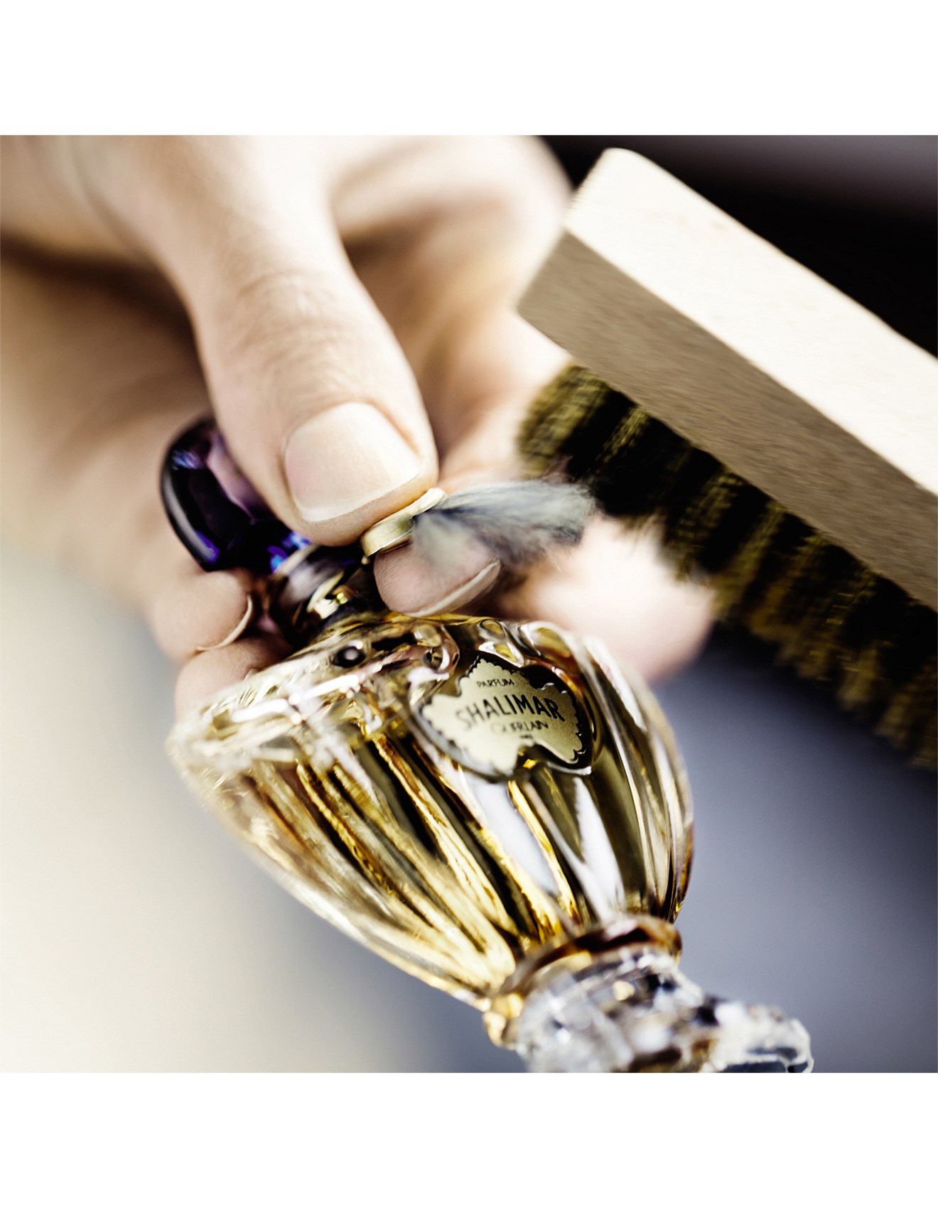 [国内正規品] Shalimar Eau de Parfum 50ml Amazon.com : Guerlain Shalimar Eau de Parfum Spray for Women