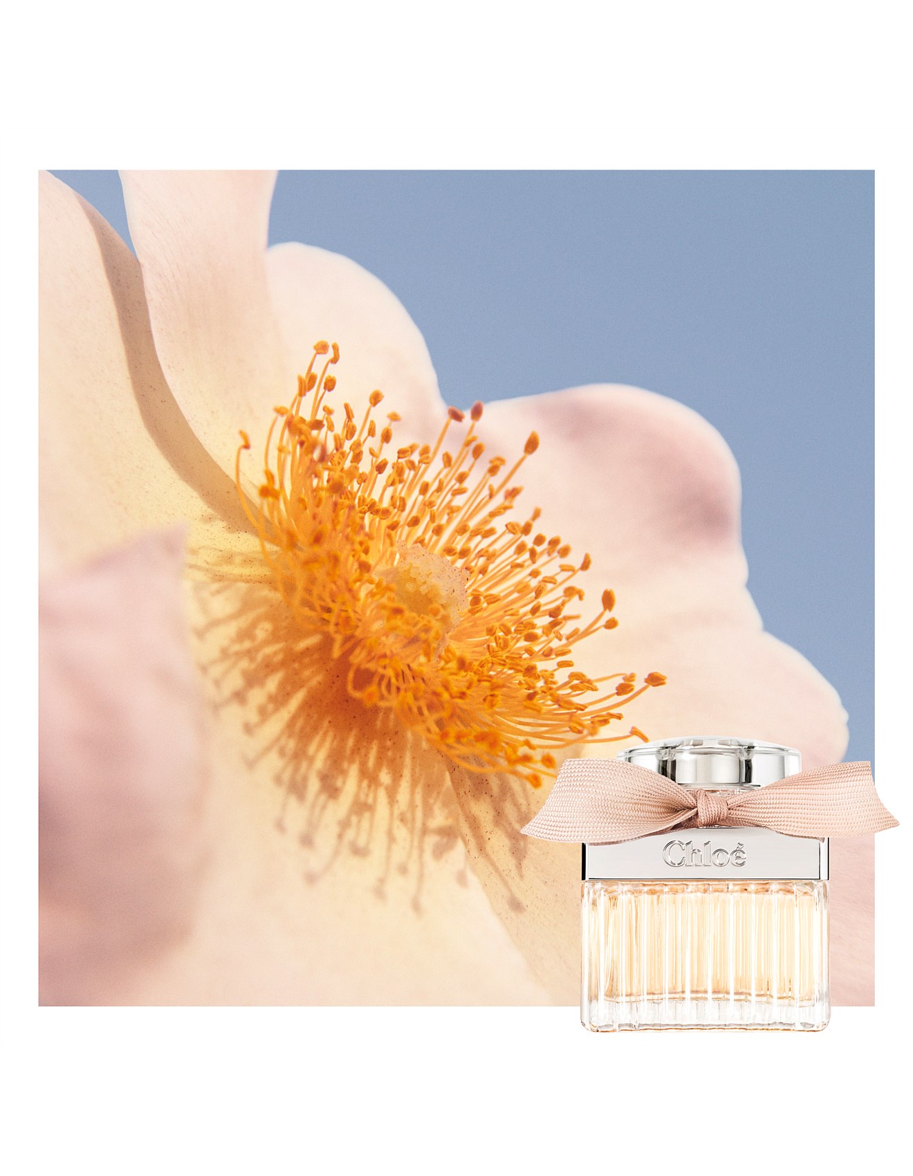 Chloé Eau De Parfum 50ml David Jones