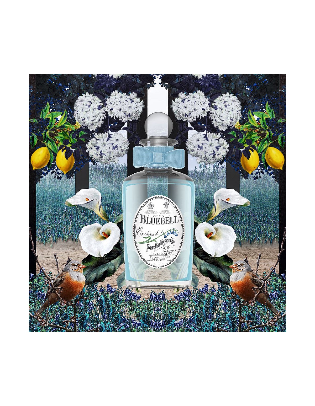 blue bell penhaligon bluebell perfume price
