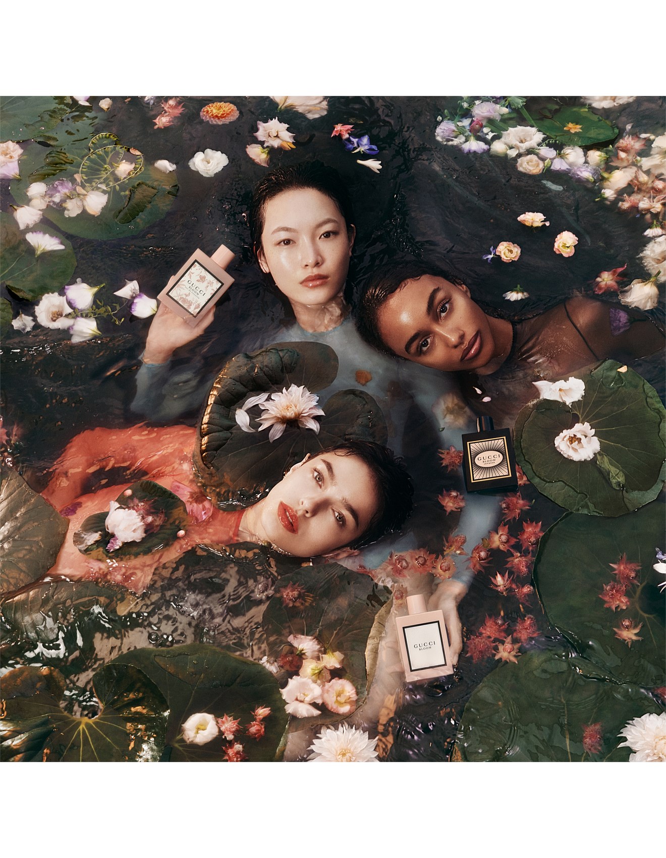 Gucci Gucci Bloom Edp 100ml | David Jones