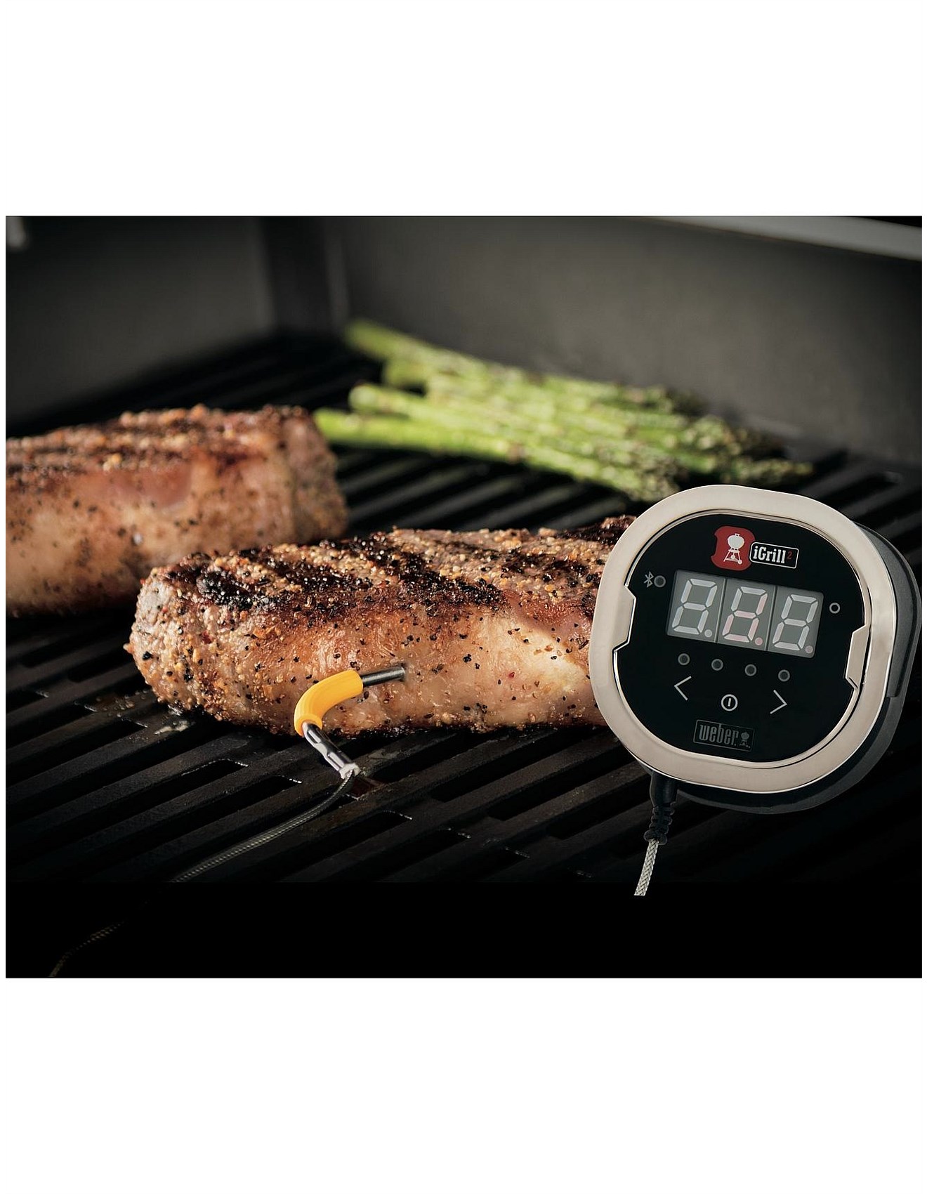 Meat Thermometers Weber Igrill Thermometer Reviews Weber Igrill