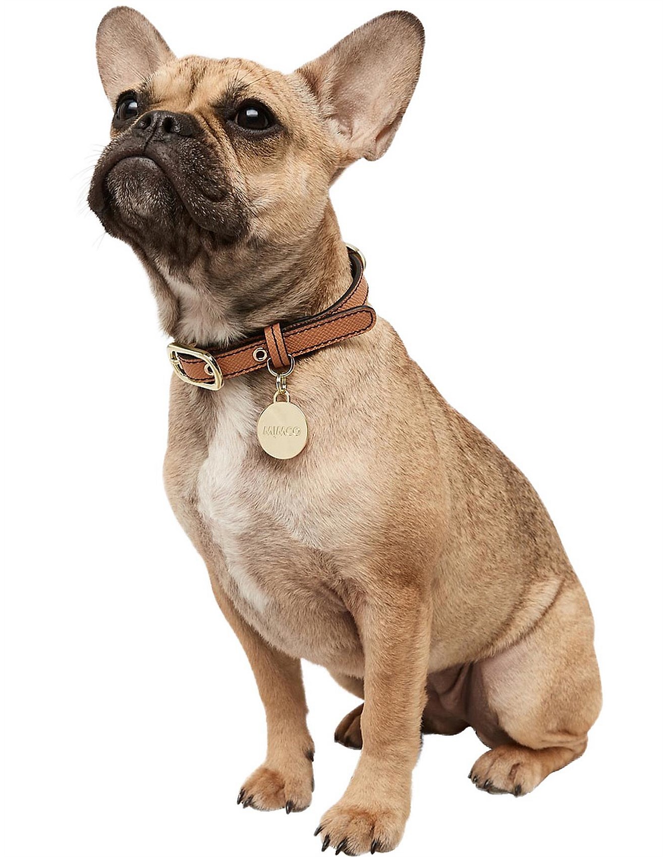 mimco dog collar small