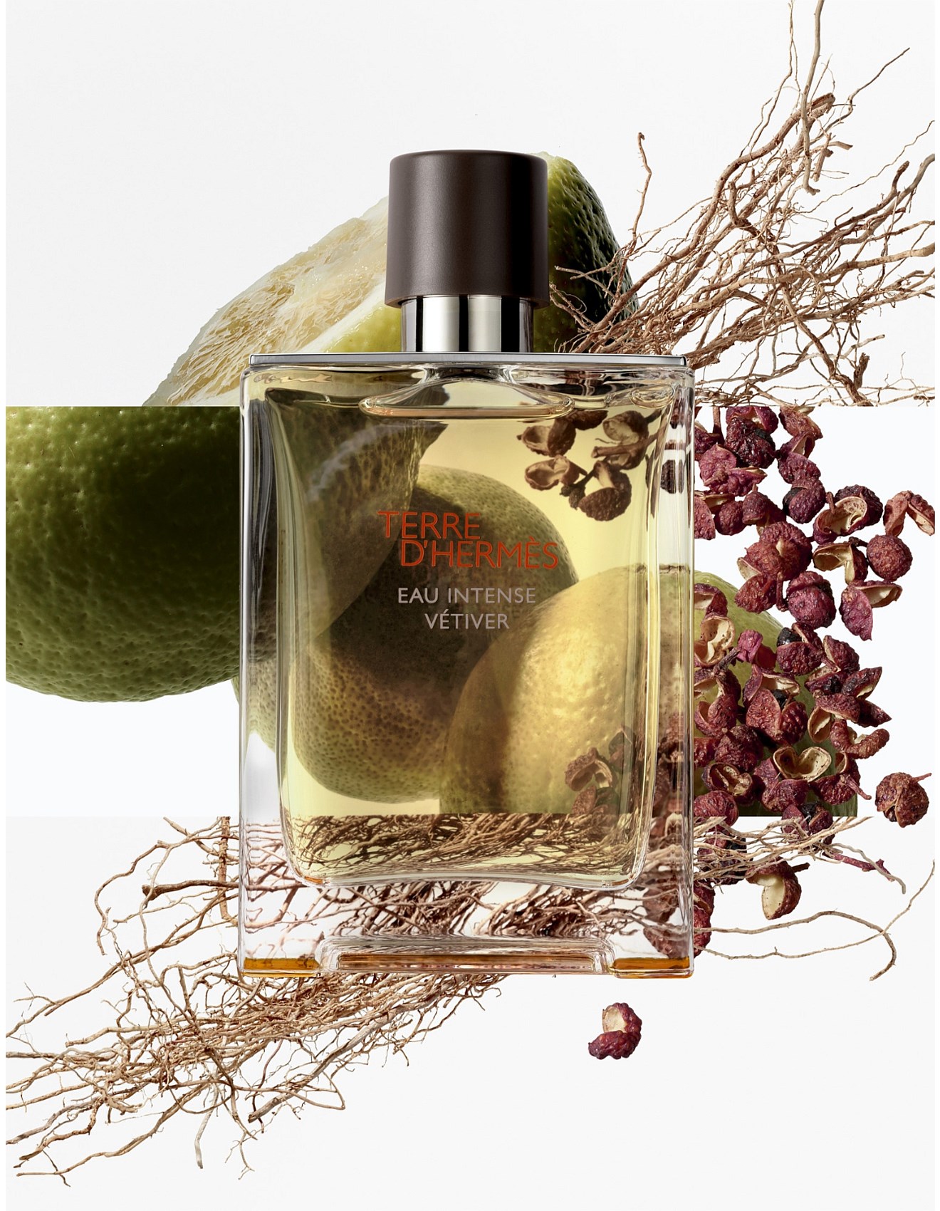 TERRE D'HERMÈS Eau Intense Vétiver 100ml Hermes Terre D'hermès Eau Intense Vétiver Eau De Parfum 100ml