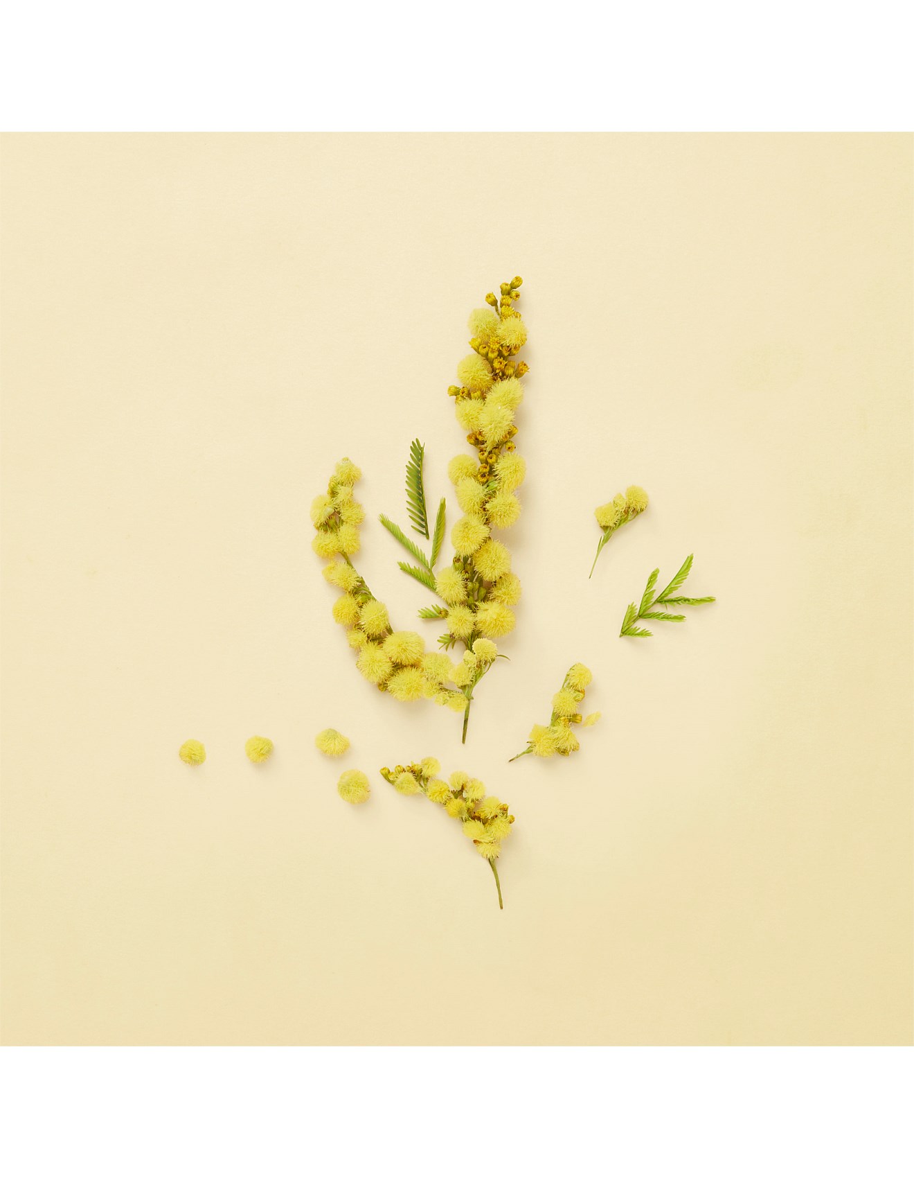 Gucci winter spring perfume Clearance