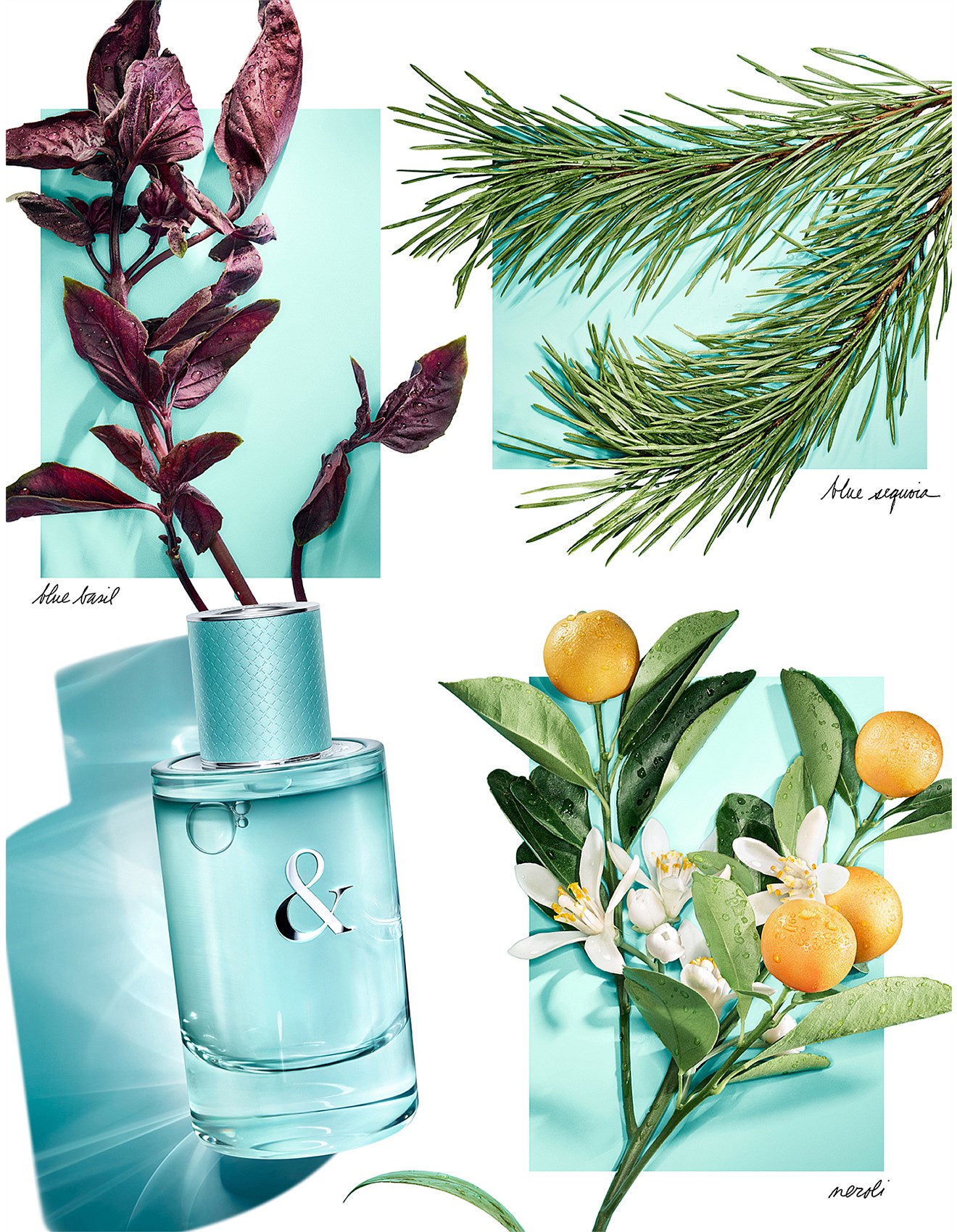 Tiffany & Co Tiffany & Love For Her Edp 90ml | David Jones