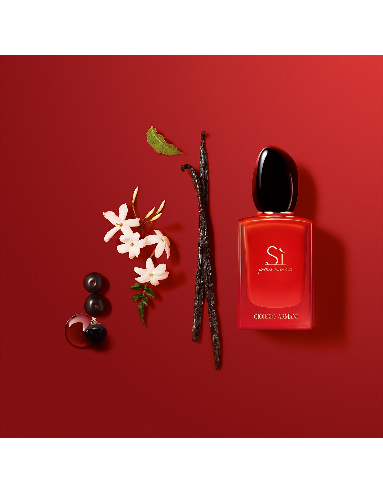 si giorgio armani david jones