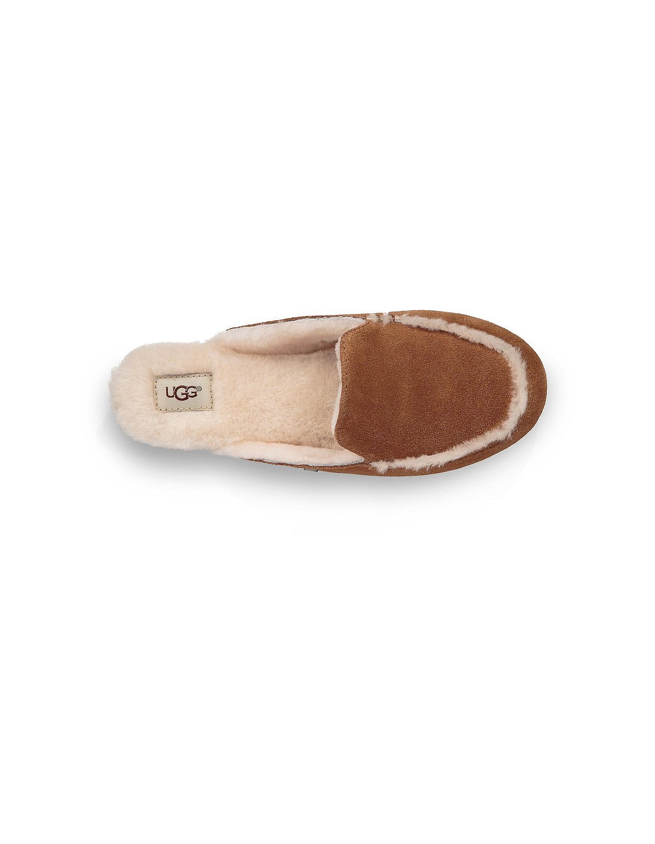 ugg australia buy