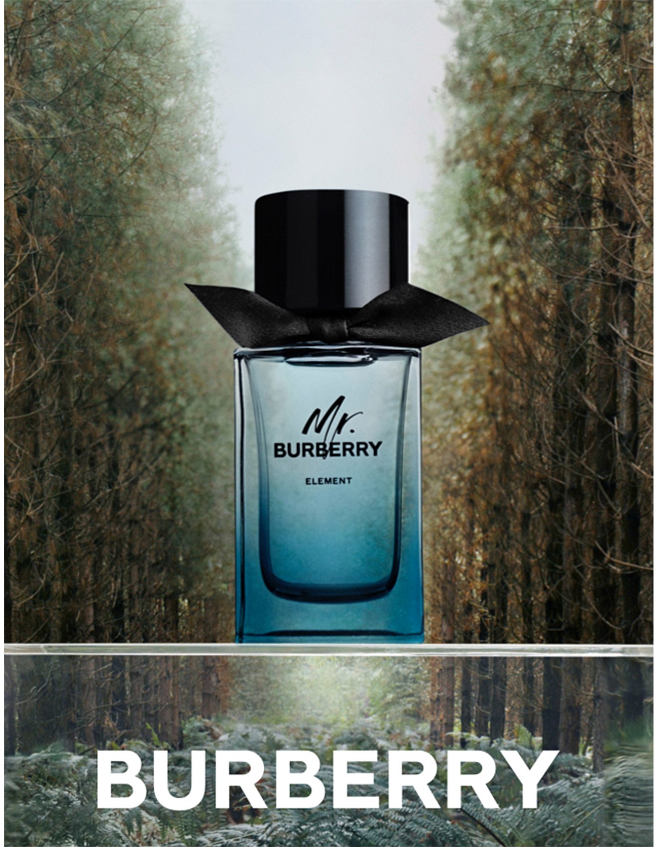 Burberry Burberry Element Edt 100ml David Jones