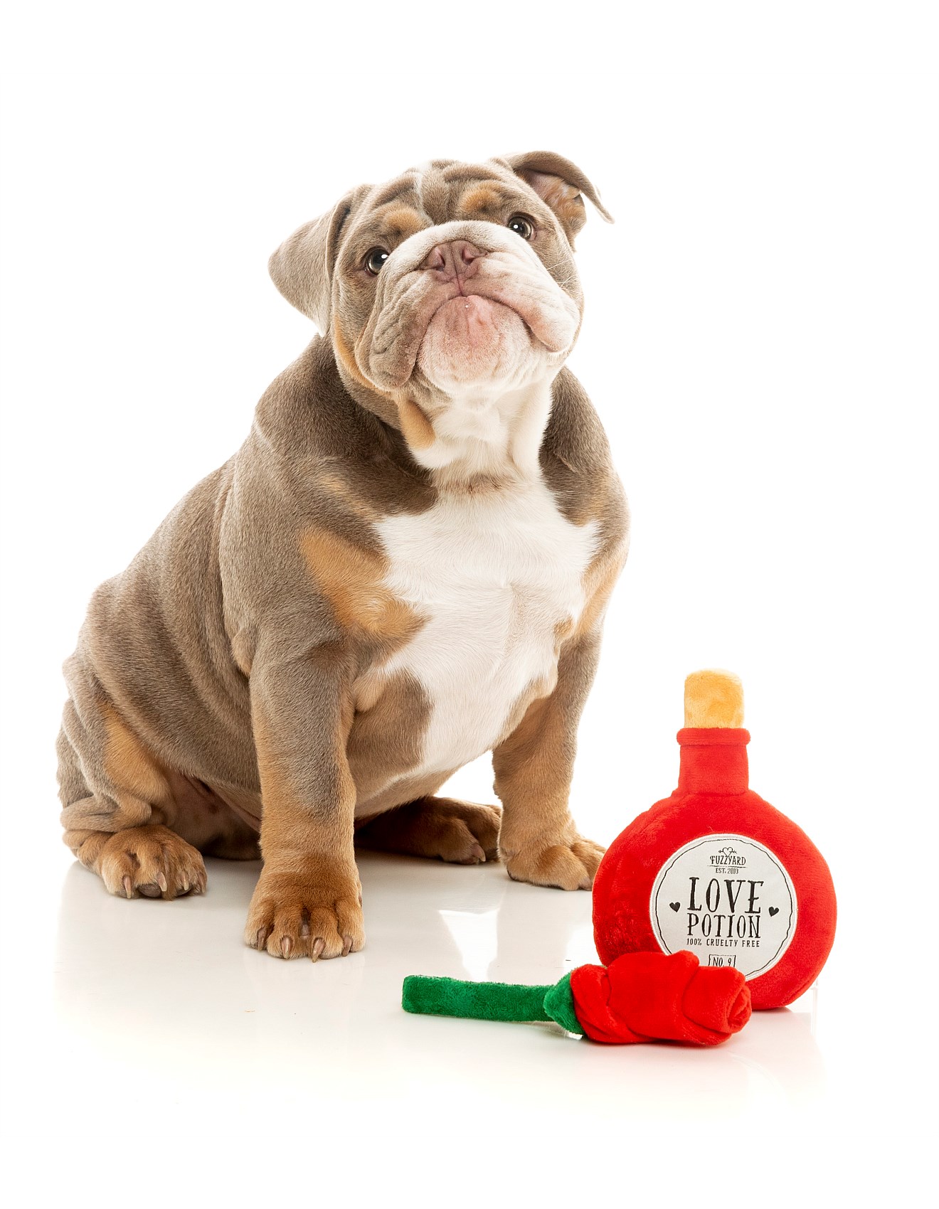 Fuzzyard I Heart You Pack -Potion Rose Dog Toy David Jones