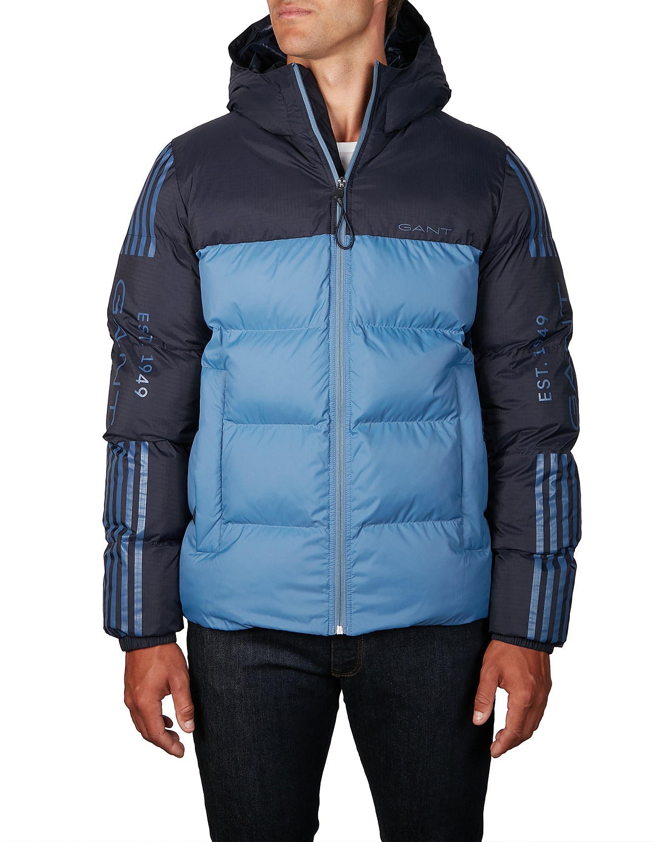 gant jacket david jones