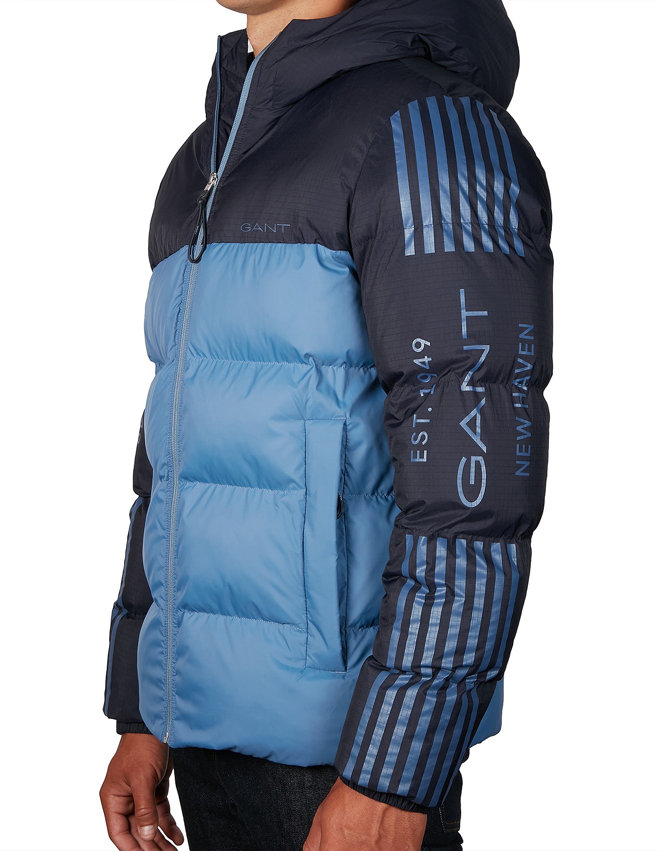 gant jacket david jones