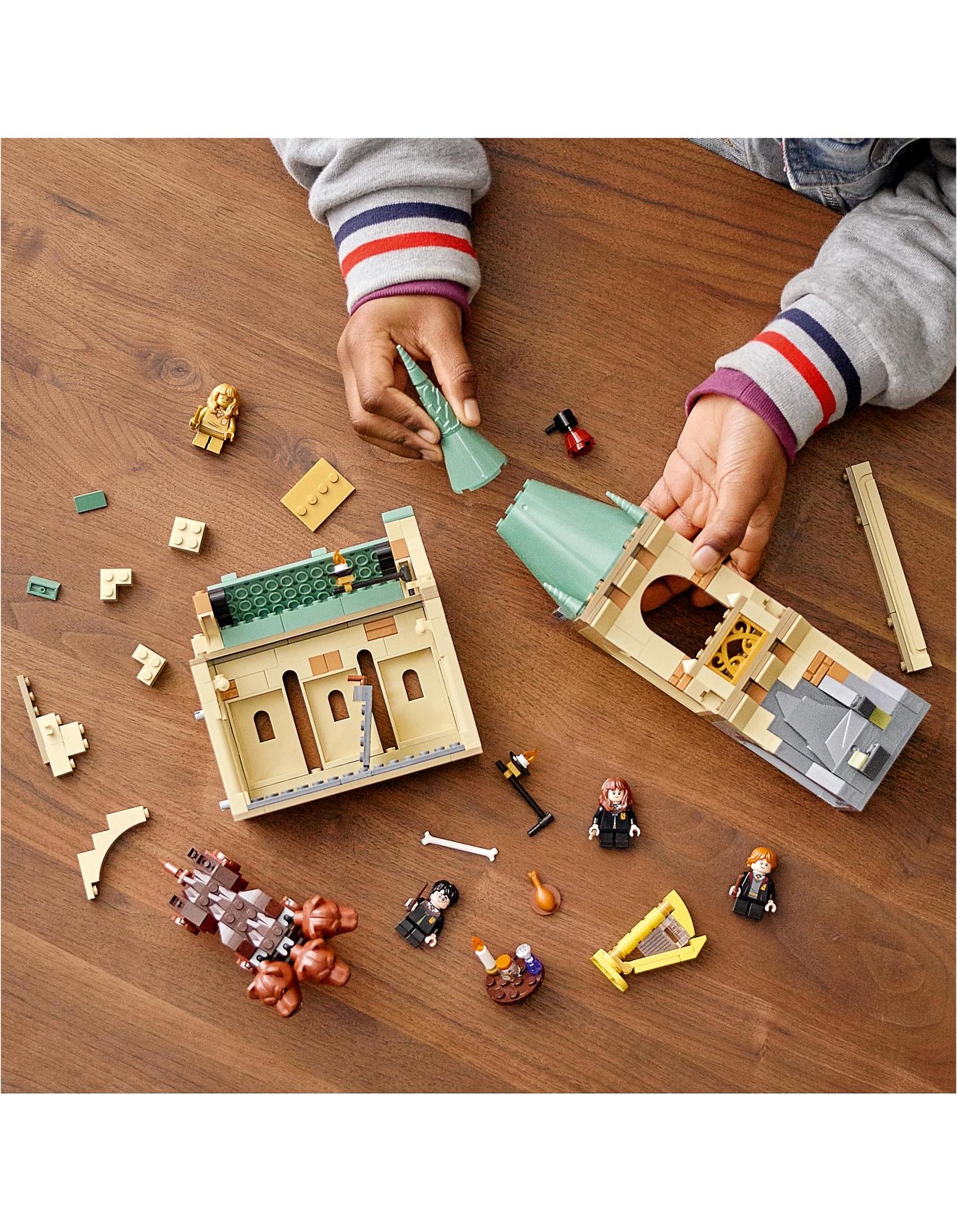 Lego Harry Potter Hogwarts: Fluffy Encounter 76387 David Jones