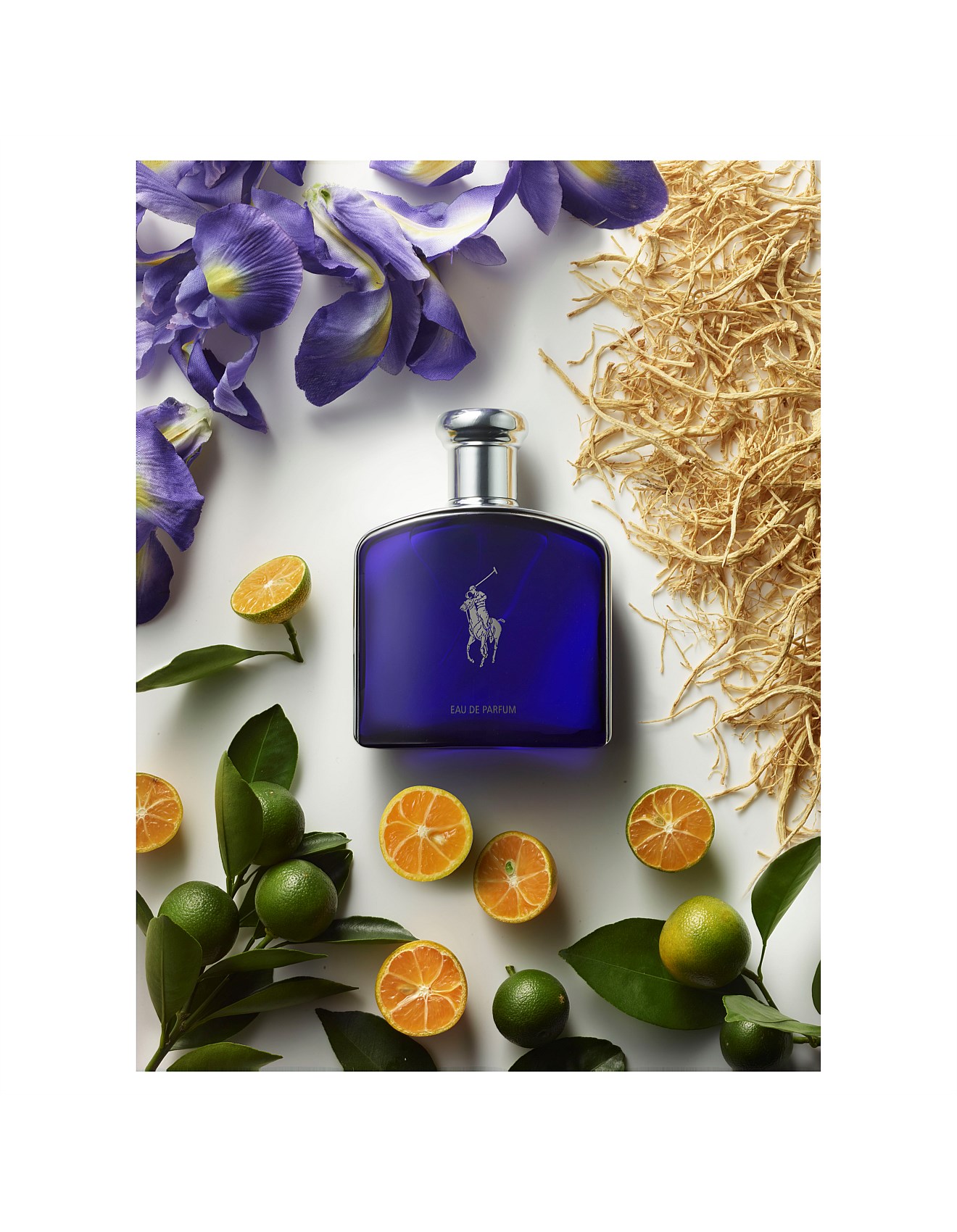 polo midnight perfume