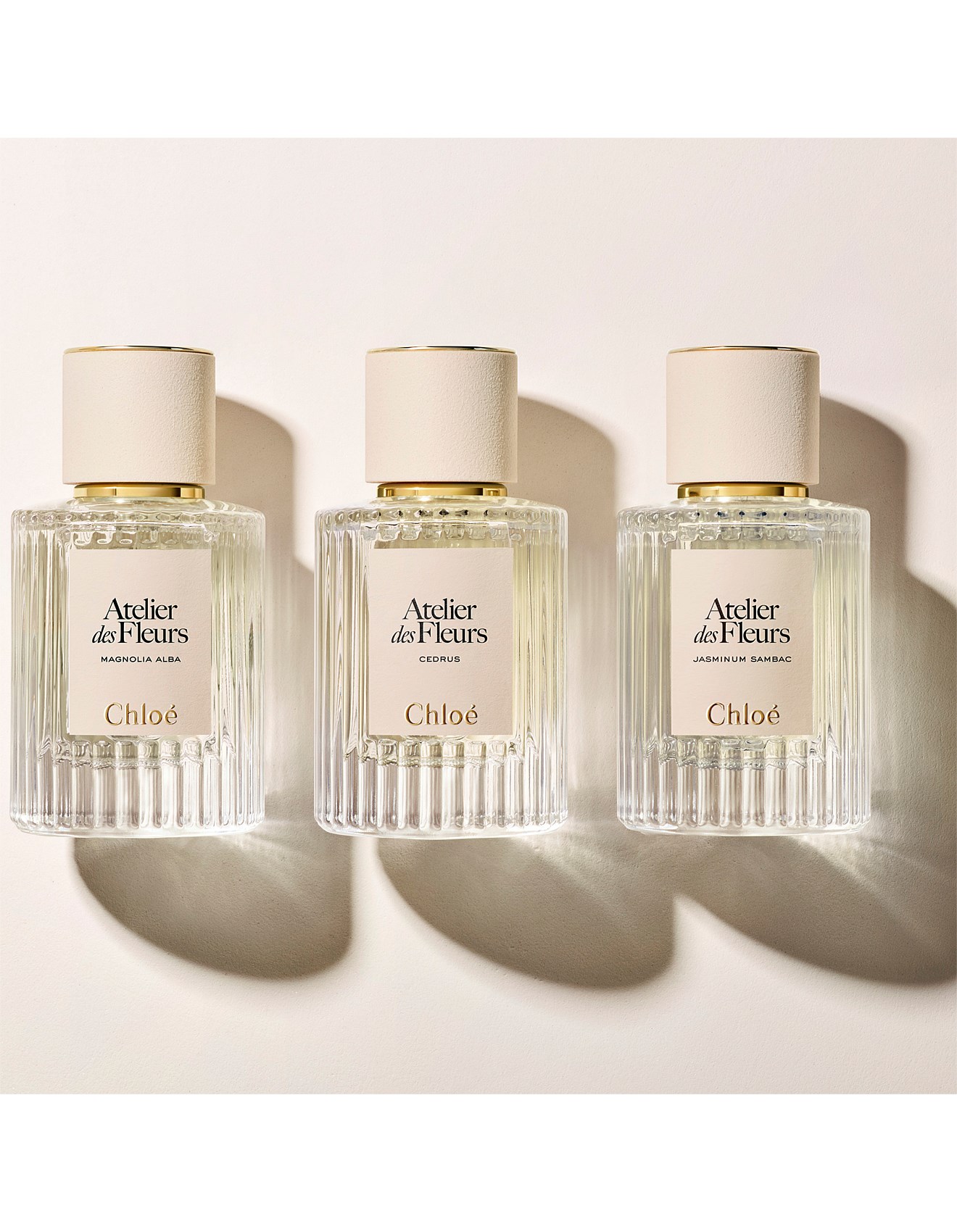 Chloé Atelier Des Fleurs Vanilla Planifolia Eau De Parfum 50ml