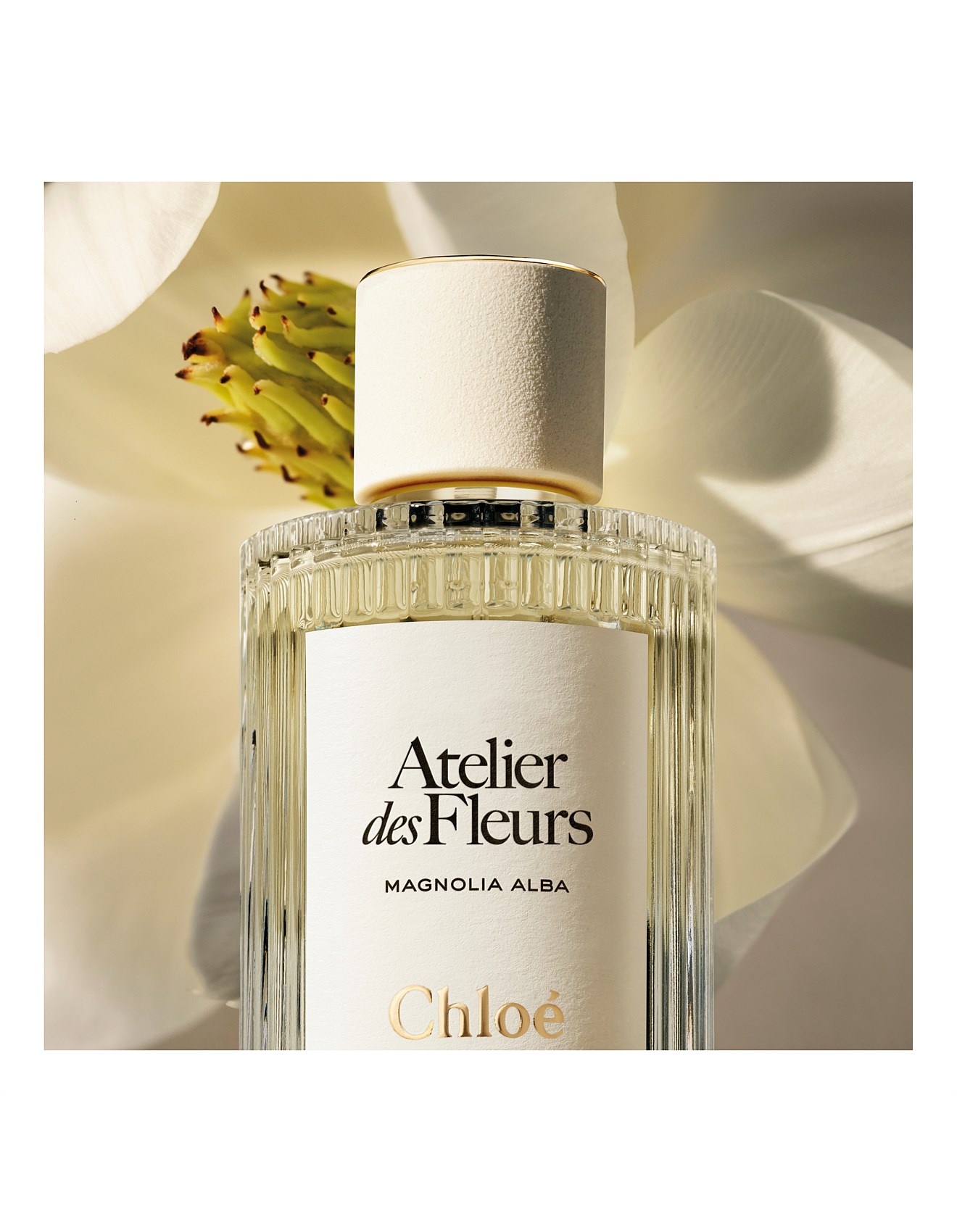Chloé Magnolia Alba 150ml 香水 【お値段交渉アリ】 Chloé Magnolia Alba 150ml 香水 【お値段交渉アリ】 Chloé Magnolia