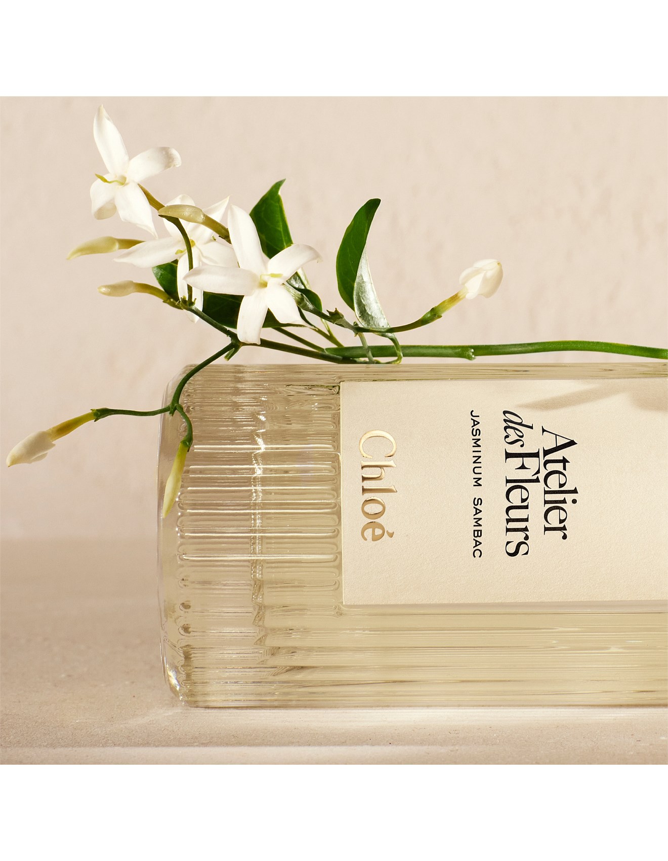 Chloé Atelier Des Fleurs Jasminum Sambac Eau De Parfum 150ml