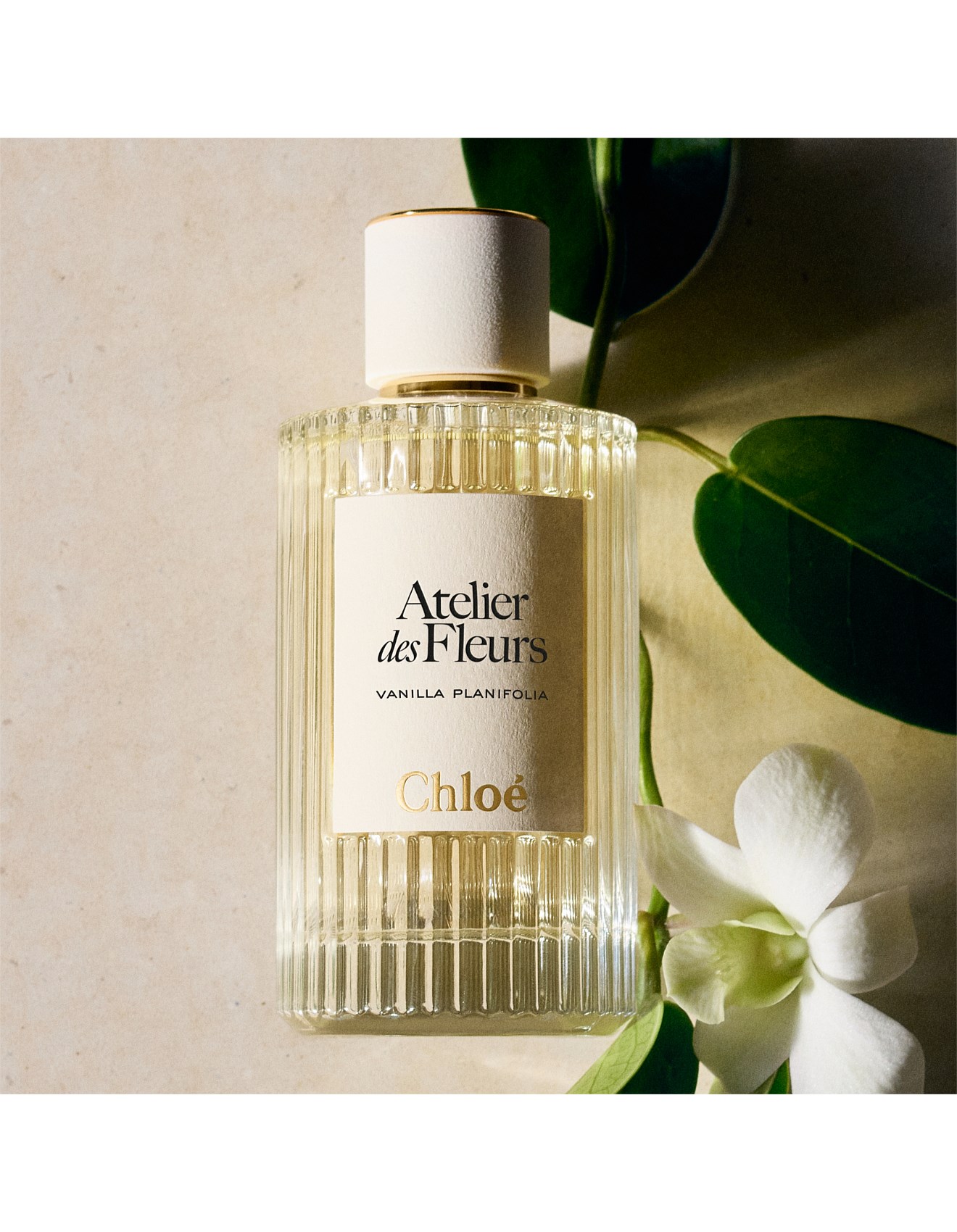Chloé Atelier Des Fleurs Vanilla Planifolia Eau De Parfum 150ml