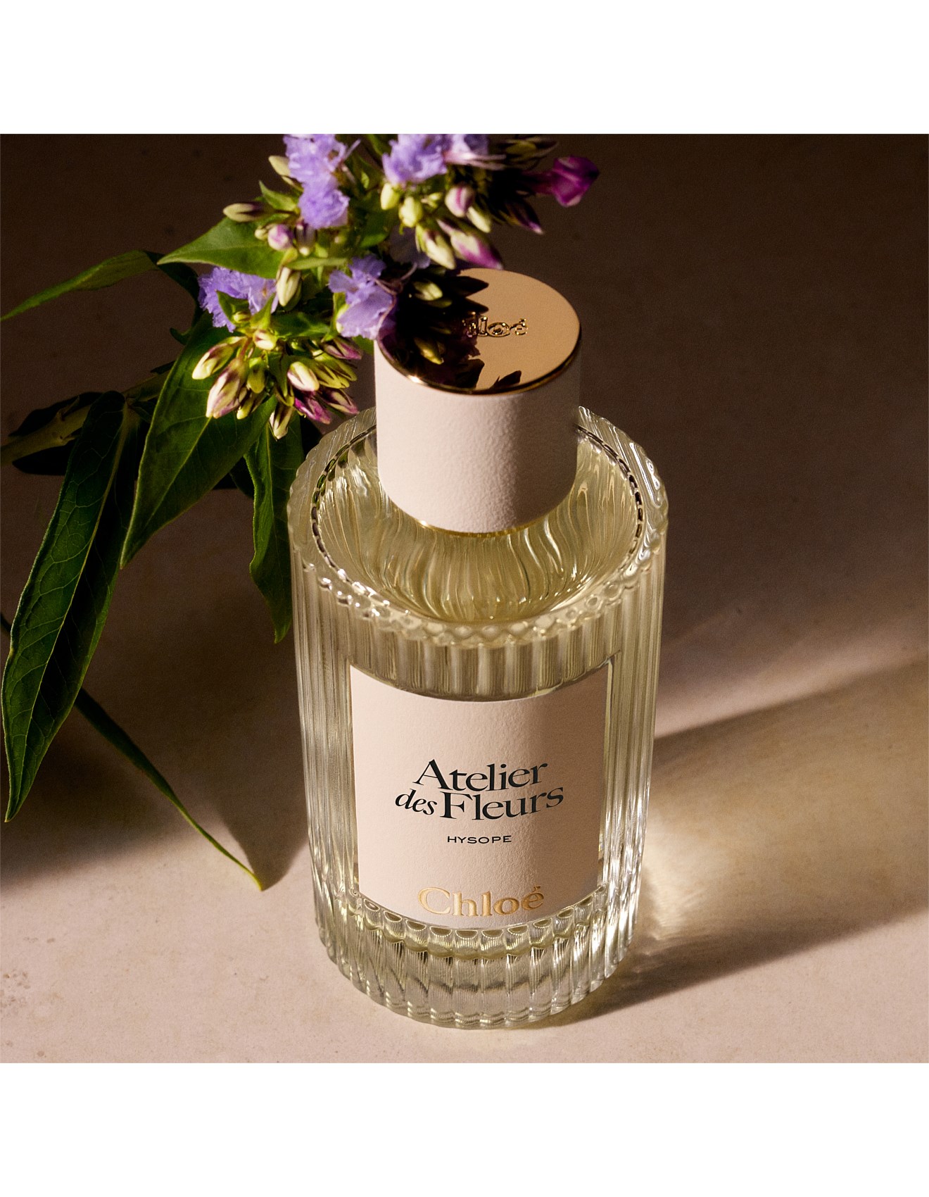 Chloé Atelier Des Fleurs Hysope 50ml David Jones