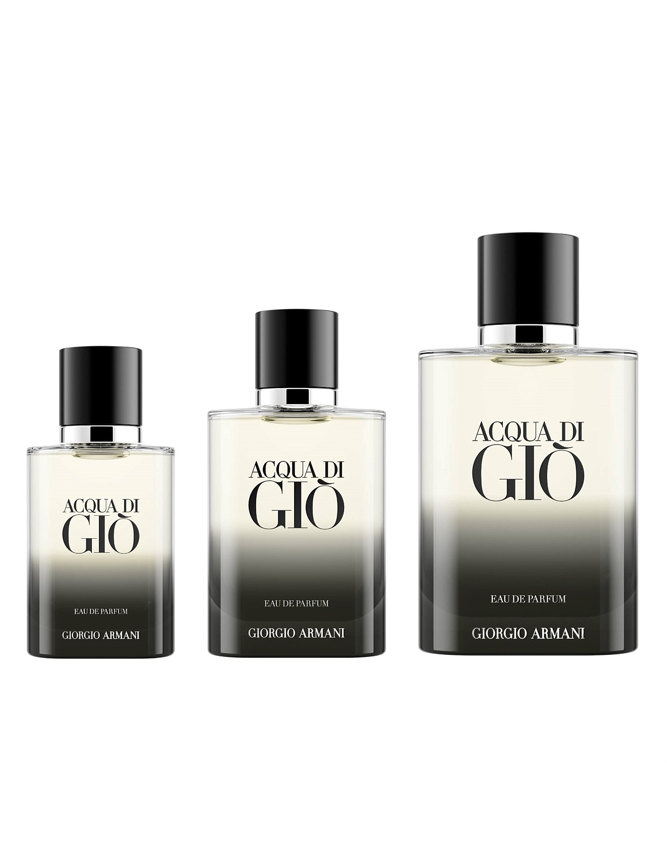 Giorgio Armani Acqua Di Gio Homme Edp 100ml David Jones