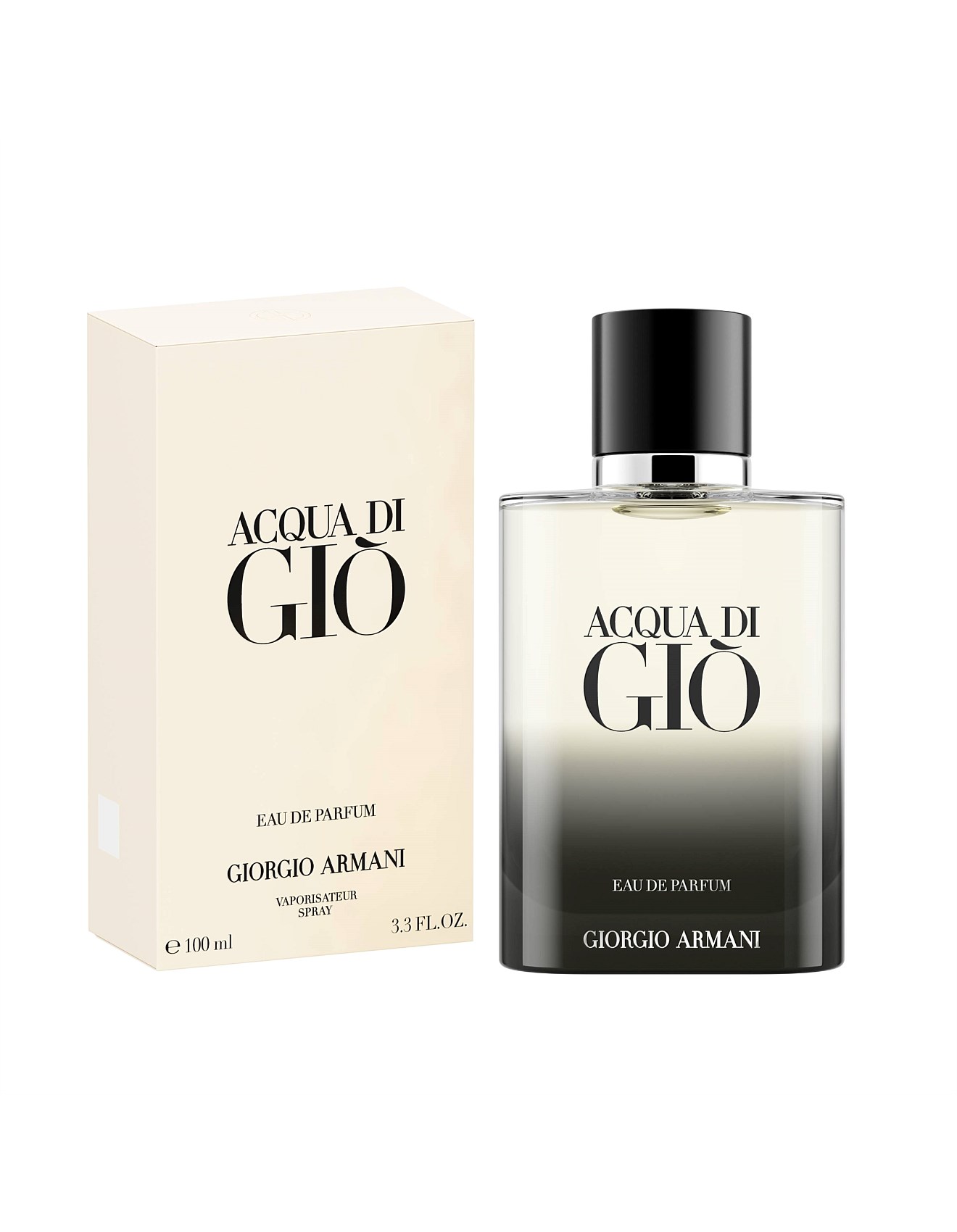 Giorgio Armani Acqua Di Gio Homme Edp 100ml David Jones