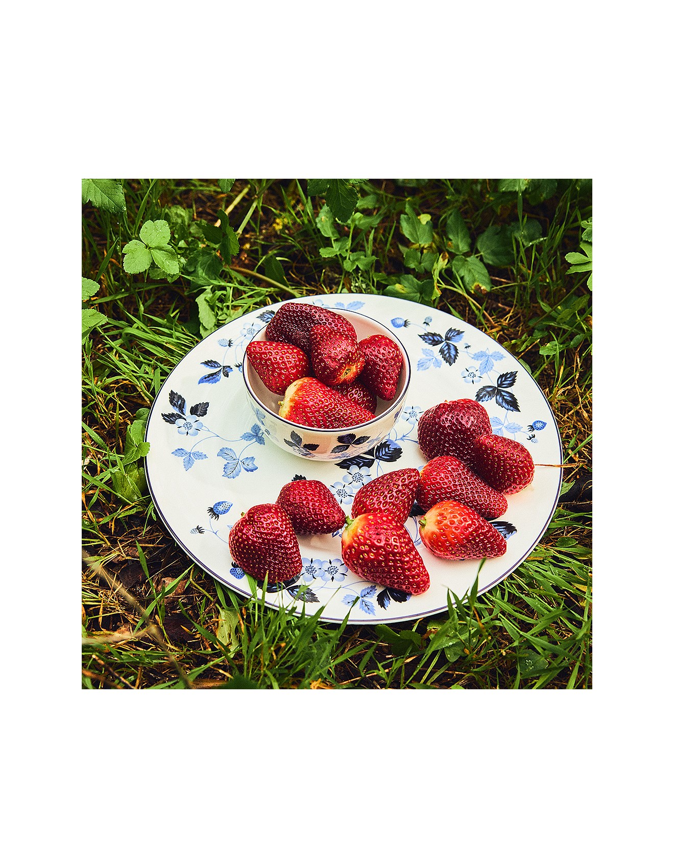 Wedgwood Wild Strawberry Inky Blue Dinnerware 4 Pieces | David Jones