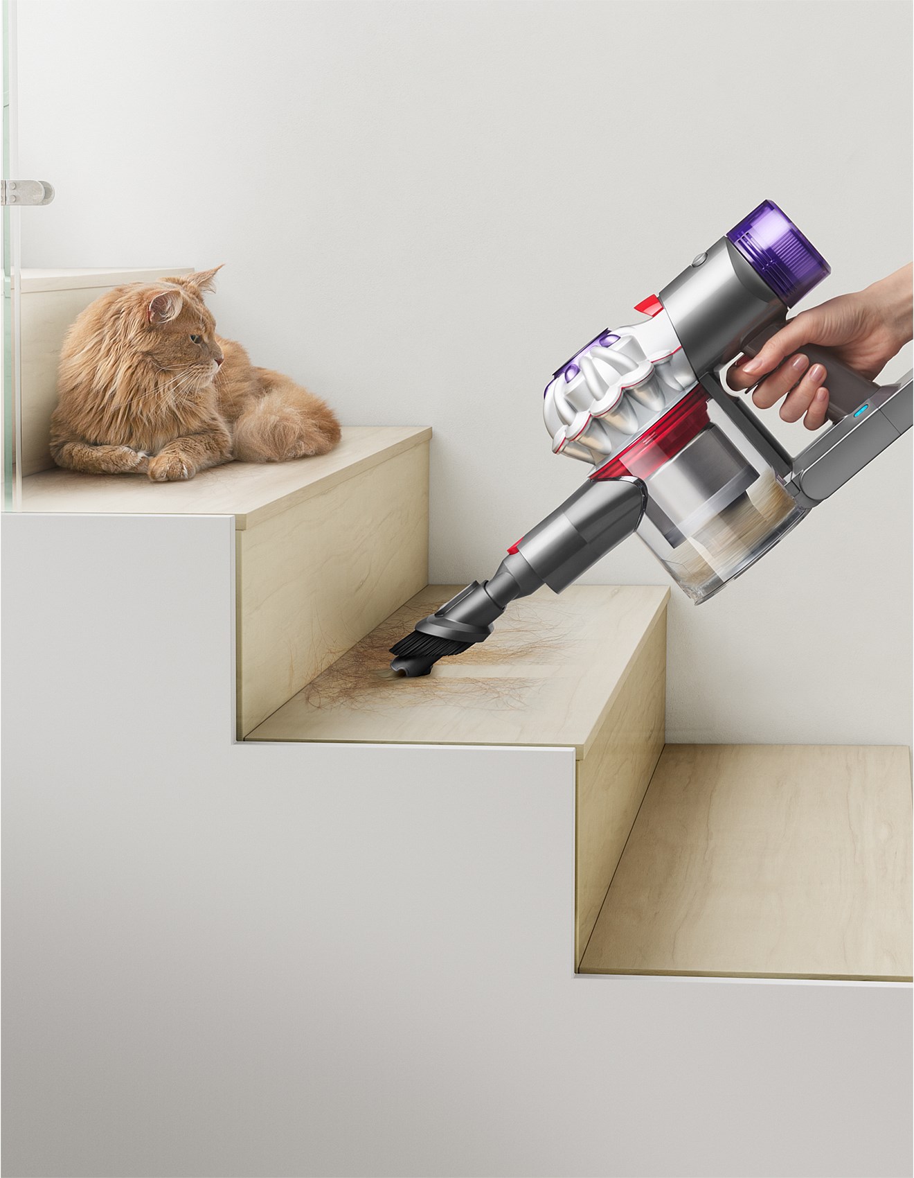 【新品未開封品】Dyson SV21FFCOMN Dyson V8 Animal+ 21.6V Cordless Vacuum Cleaner - Purple