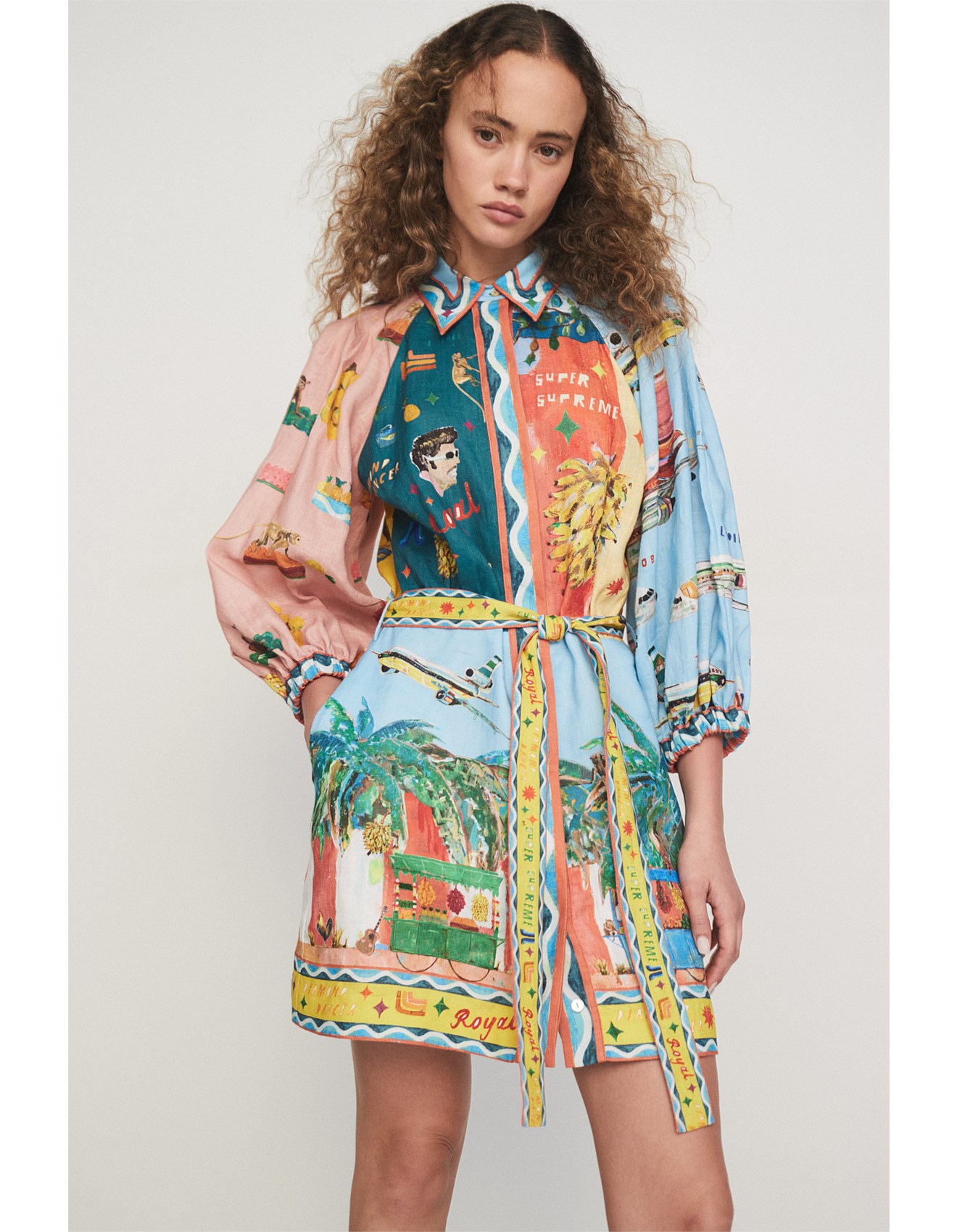 Alémais All Aboard Mini Dress | David Jones