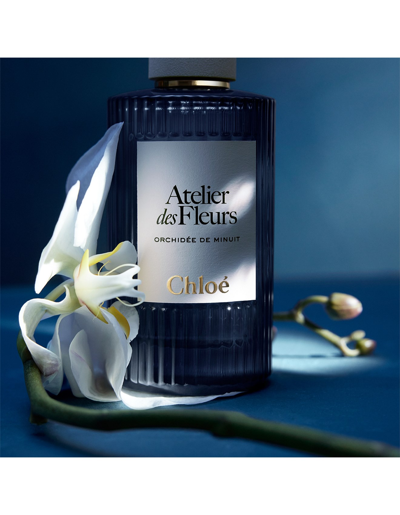 Chloé Chloé Atelier Des Fleurs Orchidée De Minuit Eau De Parfum