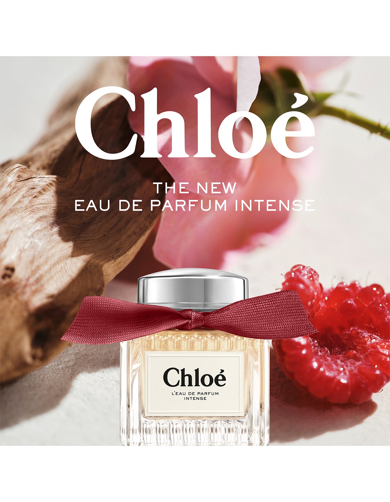 Chloé Chloé L'eau De Parfum Intense Edp 100ml | David Jones