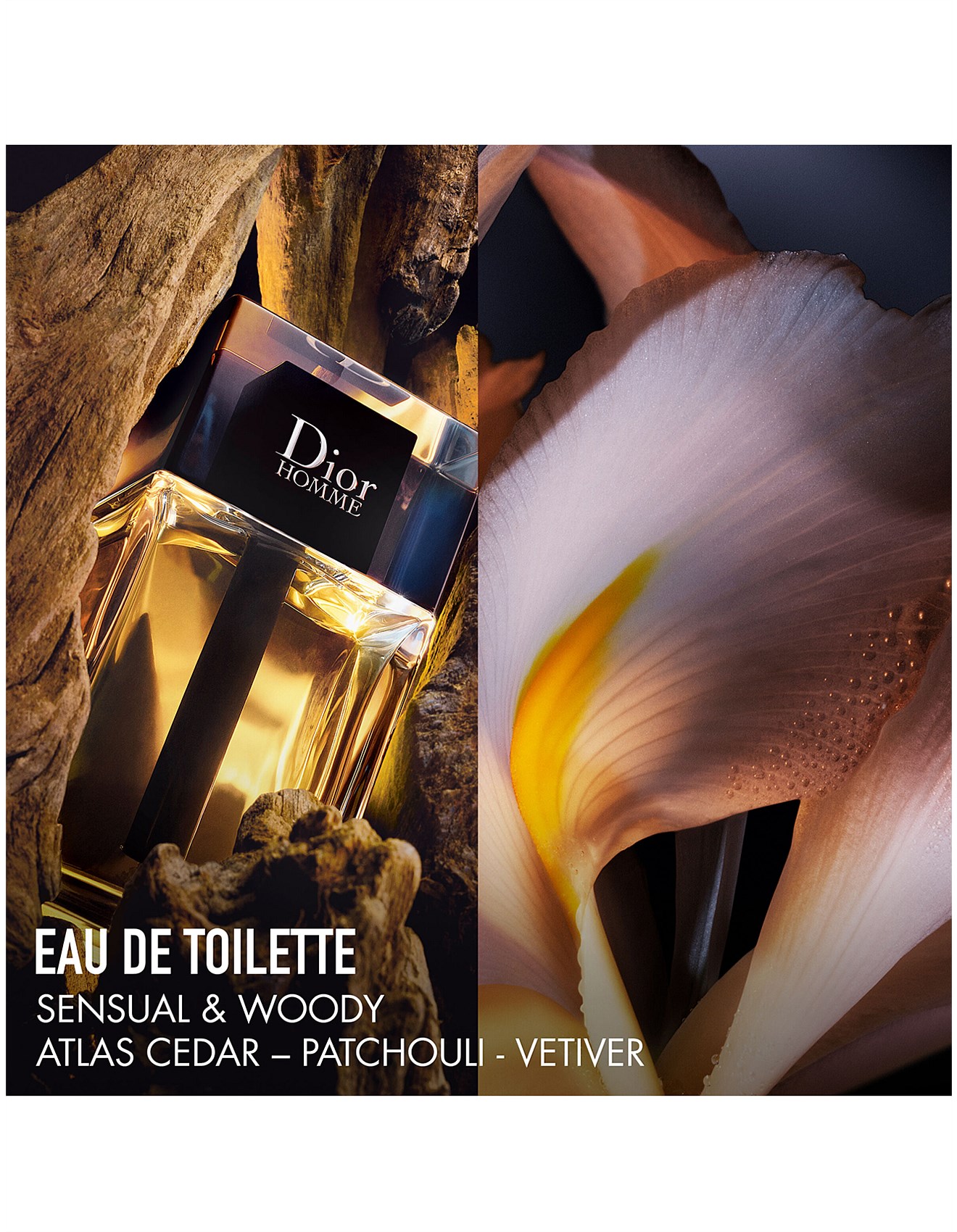 Dior Dior Homme Eau De Toilette Set Holiday Limited Edition