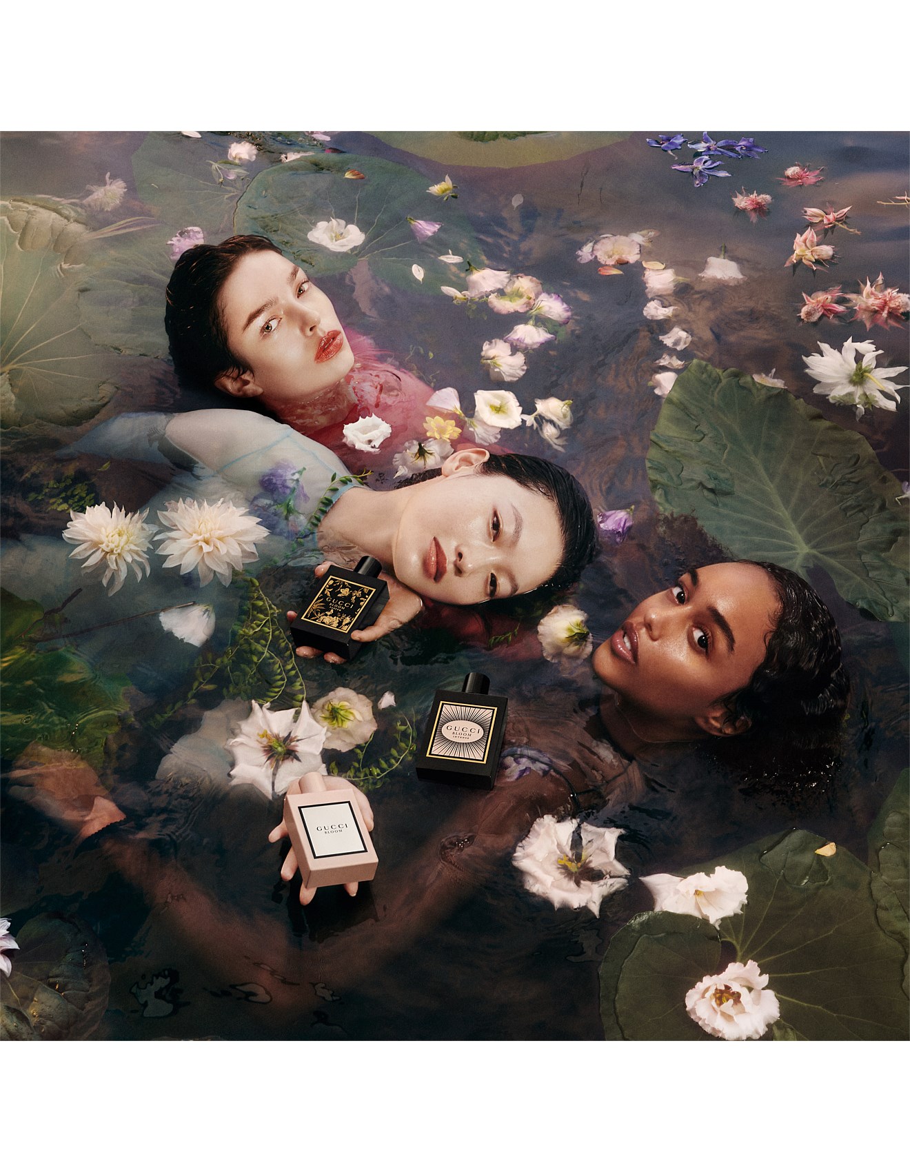 【未使用、箱無し】GUCCI BLOOM EDP 100ml 未使用、箱無し】GUCCI BLOOM EDP 100ml 未使用、箱無し】GUCCI