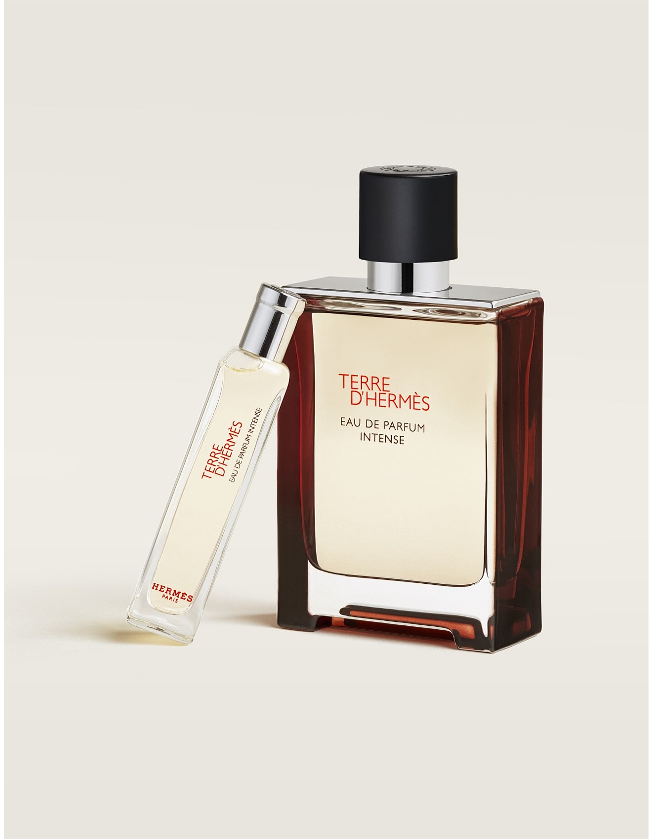 Hermes Terre D'hermès Eau De Parfum Intense 100ml | David Jones