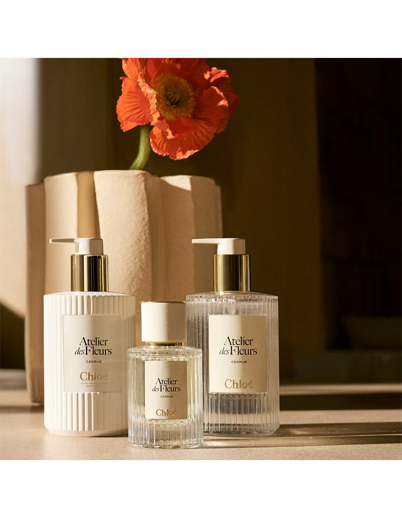 Chloé Atelier Des Fleurs Santalum Body Lotion 300ml David Jones