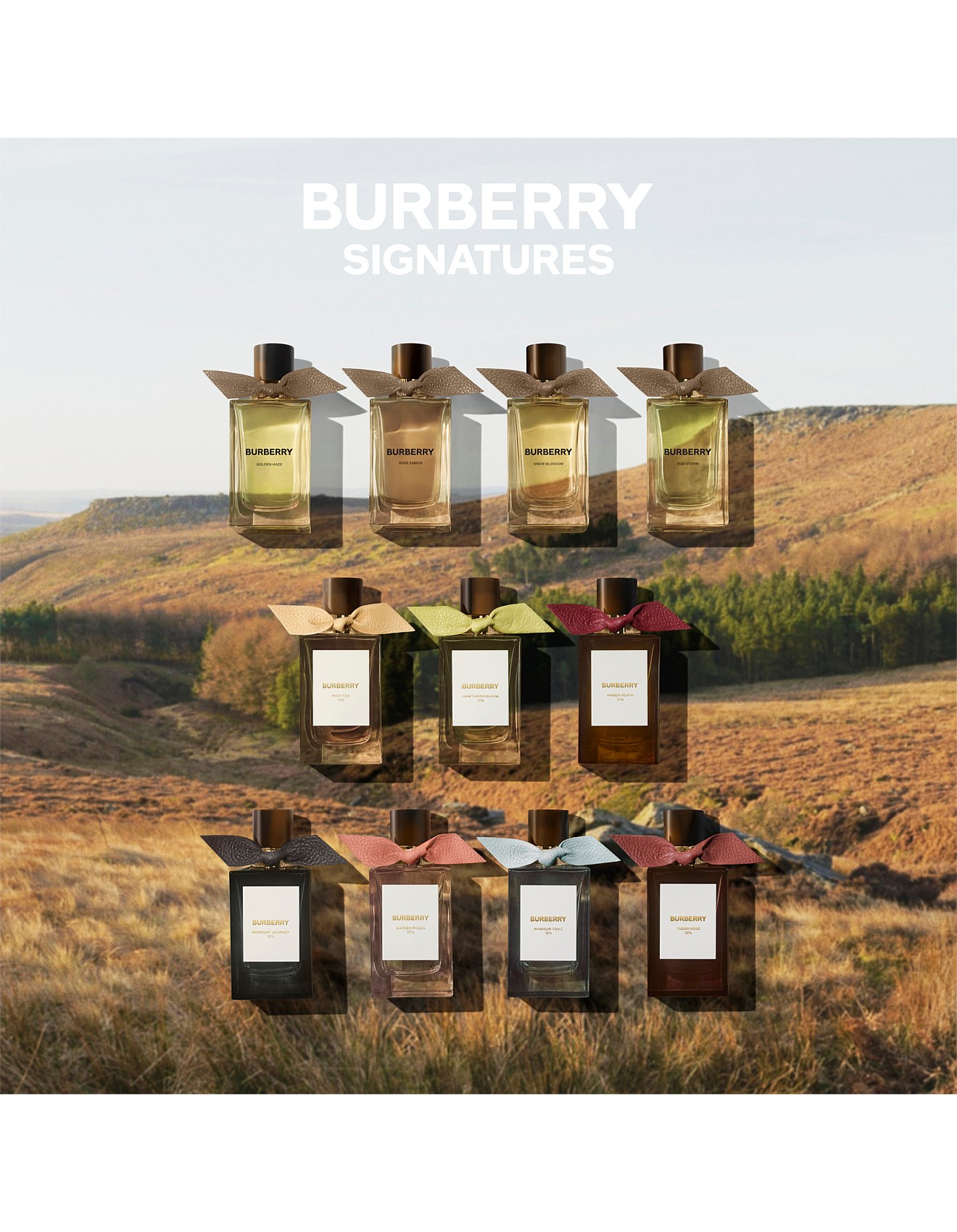 Burberry Signatures Windsor Tonic Eau De Parfum Unisex 100ml