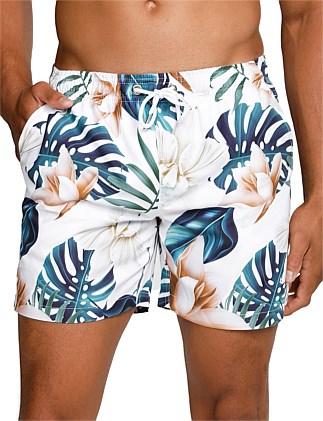 david jones mens swimwear
