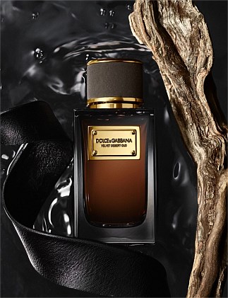 Dolce & Gabbana Velvet Desert Oud Edp 100ml | David Jones